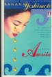 Cover of Amrita