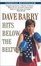 Cover of "Dave Barry Hits Below the Beltway"