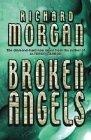 Broken Angels (Gollancz SF S.)