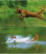 Cover of Beautiful Evidence
