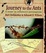 Cover of "Journey to the Ants"