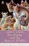 Cover of "Mrs. Frisby and the Rats of Nimh"