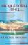 Cover of "Singularity Sky"