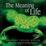 Cover of 'The Meaning Of Life'