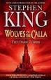 Cover of The Dark Tower, Book 5