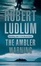 Cover of "The Ambler Warning"