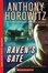 Cover of Raven's Gate