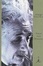 Cover of Ideas and Opinions
