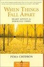 When Things Fall Apart : Heart Advice for Difficult Times (Shambhala Classics)