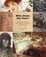 Cover of "Who Owns the Past?"