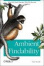 Cover of "Ambient Findability"