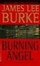 Cover of "Burning Angel"
