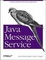 Cover of "Java Message Service"