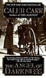 Cover of The Angel of Darkness