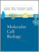 Cover of Molecular Cell Biology, Fifth Edition