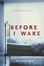 Cover of "Before I Wake"