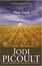 Cover of "Plain Truth"