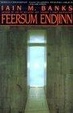 Cover of Feersum Endjinn