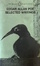 Cover of The Selected Writings of Edgar Allan Poe