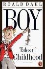 Boy : Tales of Childhood