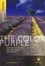 Cover of "York Notes on 'the Color Purple' by Alice Walker"