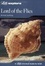 Cover of "Gcse 'Lord of the Flies"