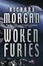 Cover of "Woken Furies"
