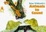 Cover of Brian Wildsmith's Animals To Count