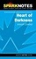 Cover of "Spark Notes Heart of Darkness"