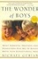 Cover of The Wonder of Boys