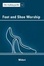 Cover of The Toybag Guide To Foot And Shoe Worship