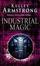 Cover of "Industrial Magic"