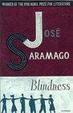 Cover of Blindness