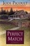 Cover of Perfect Match