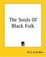 Cover of The Souls Of Black Folk