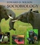 Cover of Sociobiology