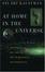 Cover of "At Home in the Universe"