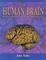 Cover of "The Human Brain"