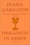 Cover of "Dragonfly in Amber"
