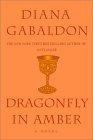 Dragonfly in Amber