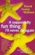 Cover of A Supposedly Fun Thing I'll Never Do Again
