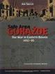 Cover of Safe Area Gorazde