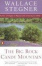 Cover of "The Big Rock Candy Mountain"