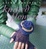 Cover of 'Nicky Epstein's Knitted Flowers'