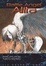 Cover of "Battle Angel Alita, Volume 1"
