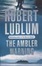 Cover of The Ambler Warning