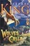 Cover of "Wolves of the Calla"