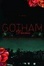 Cover of "Gotham Diaries"