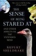 Cover of The Sense of Being Stared at