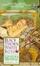 Cover of "Black Thorn, White Rose"